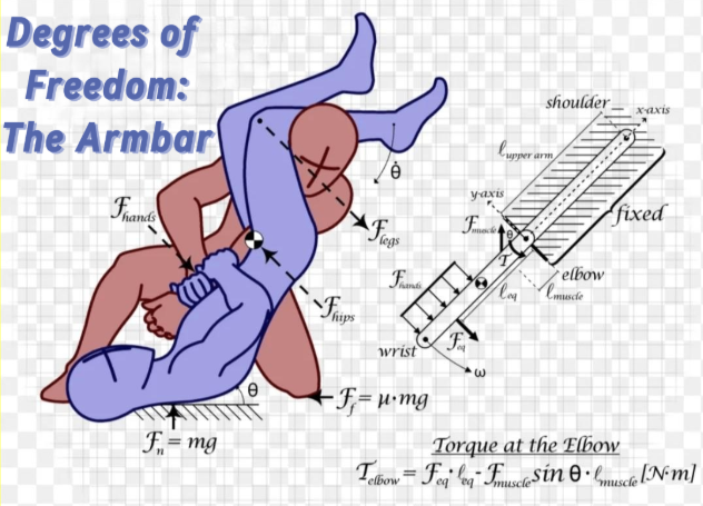 The Degrees of Freedom Problem–The Armbar